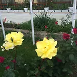 فندق Olymp